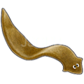 Planaria-128.png