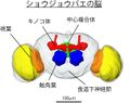 2019年5月13日 (月) 09:52時点における版のサムネイル