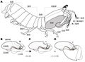 2017年2月14日 (火) 18:26時点における版のサムネイル