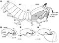 2017年2月14日 (火) 18:31時点における版のサムネイル